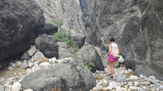 Wild und wunderschön