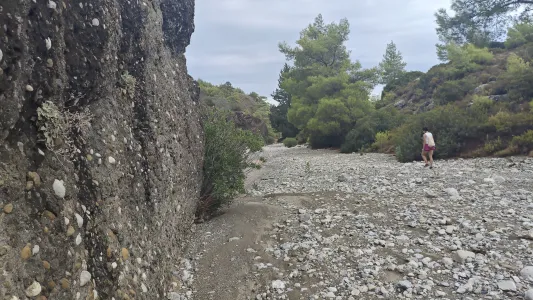 Wild und wunderschön