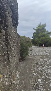 Wild und wunderschön