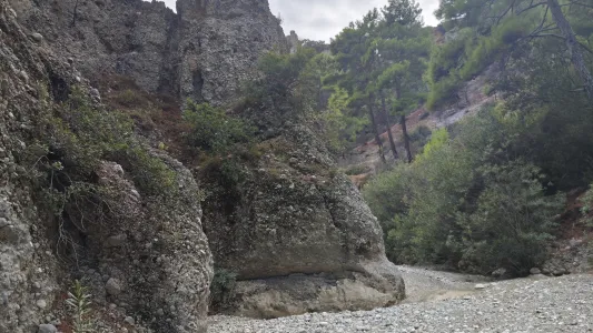 Wild und wunderschön