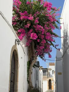 Our amazing trip to Rhodes