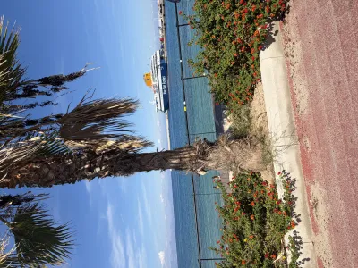 Our island adventure