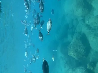 Our island adventure
